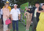 V областной слет работников культуры  Донские зори 24