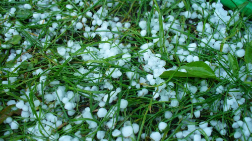 Уважаемые белокалитвинцы!