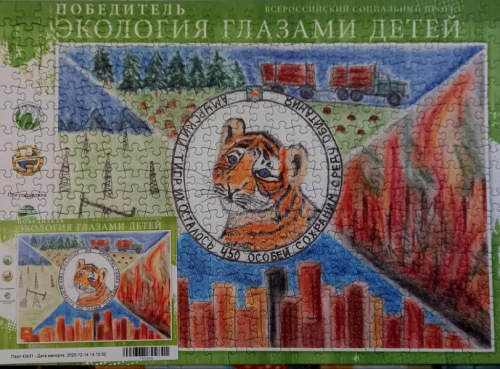 Белокалитвинская школьница стала победителем Всероссийского социального проекта «Экология глазами детей»