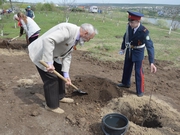 37а.JPG
