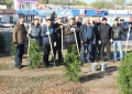 В Белой Калитве прошел осенний День древонасаждений