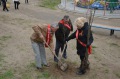 В рамках областного Дня древонасаждений в Белокалитвинском районе высадили более 2 тысяч деревьев и кустарников