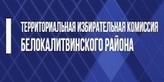 ТИК Белокалитвинского района