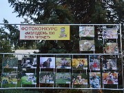 V областной слет работников культуры  Донские зори 7