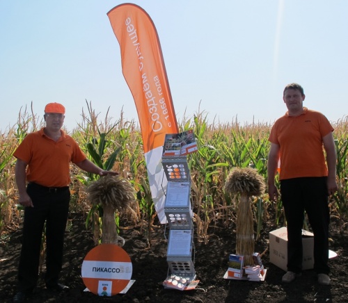 Лучшие в мире сорта (гибриды) пропашных скоро смогут массово возделывать сельхозпредприятия на нашей территории