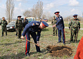 День древонасаждения