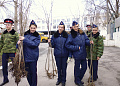 В Белокалитвинском районе высадили более 2 тысяч деревьев и кустарников