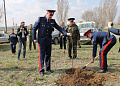 День древонасаждения