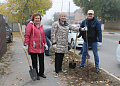 В осенний День древонасаждения в Белокалитвинском районе высадили более 2 тысяч саженцев