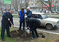 В Белокалитвинском районе прошел весенний День древонасаждений